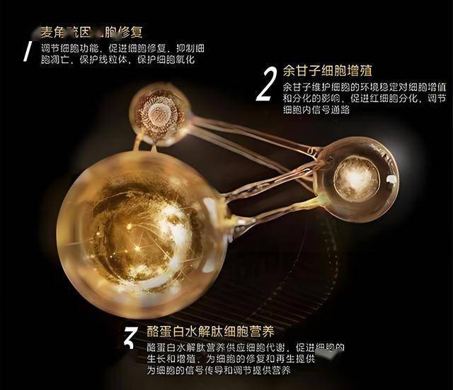 重金挖角 AI 人才，祖克柏成立 Meta 超級智慧實驗室
